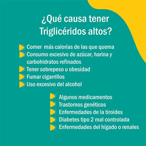 ¿Tienes Triglicéridos altos? ¿Sabes qué son? | Instituto de Genética ...