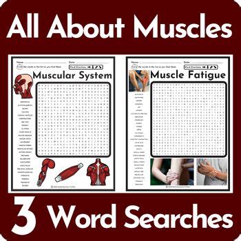 Image result for Muscle Word Search Printable
