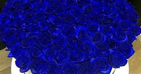 Koʻk atirgul — Teletype