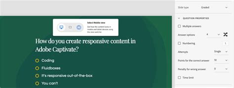 Customizing the visual properties of a project in Adobe Captivate