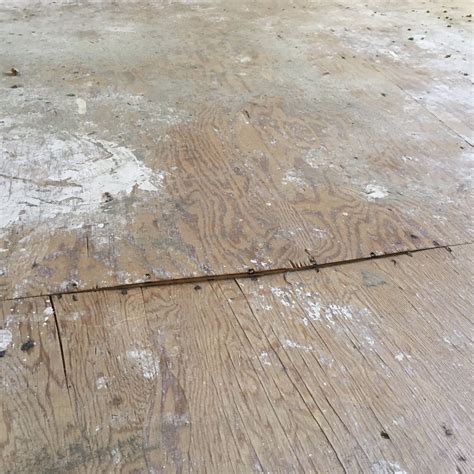 The Squeaky Floor Doctor -Flooring Contractor in Orange , CA , 92869