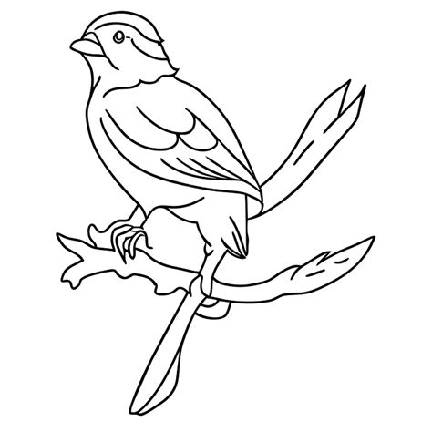 Sparrow coloring page massachusetts state bird opens a new tab ...