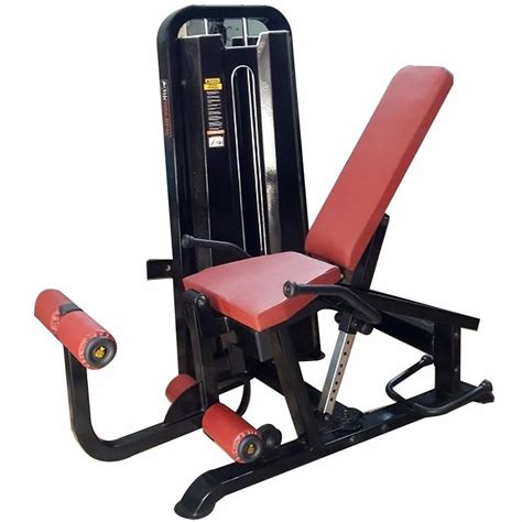 Leg Curl Machine Exercise 的图像结果