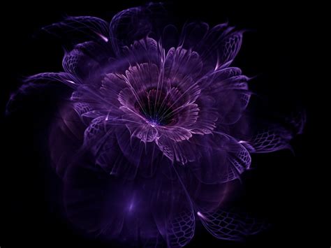 Dark Purple Flowers HD Wallpapers - Top Free Dark Purple Flowers HD ...