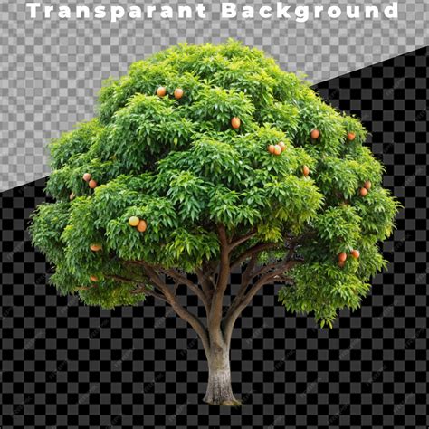 Image result for Food Tree