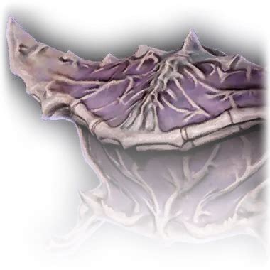 File:Cartilaginous Chest Icon.webp - Baldur's Gate 3 Wiki