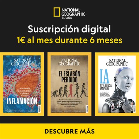 Norovirus: todo lo que necesitas saber sobre el preocupante 'virus del ...