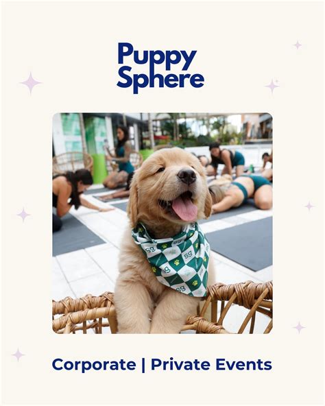 Puppy Sphere | Puppy Yoga (@thepuppysphere) • Instagram photos and videos