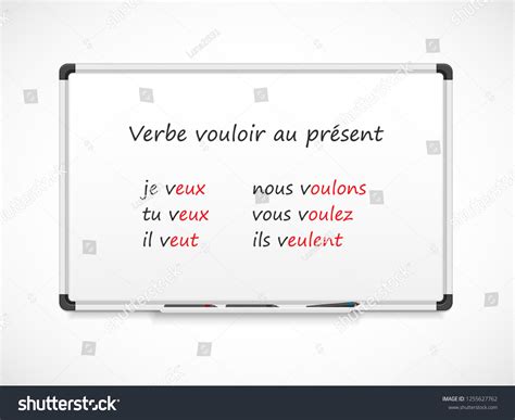 French Grammar Verbs Conjugation Verb Vouloir Stock Vector (Royalty ...