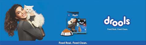 Drools Adult Dry Cat Food, Ocean Fish, 3 kg with Free 1.2 kg : Amazon ...