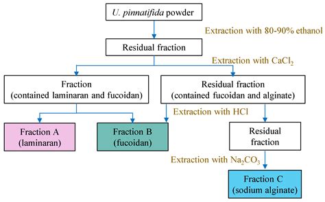 Therapeutic Prospects of Undaria pinnatifida Polysaccharides ...