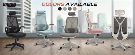 DROGO Premium Ergonomic Office Chair for Work from Home, High Back ...
