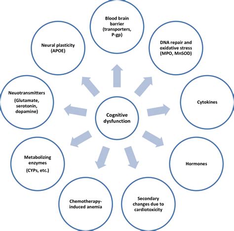 Cognitive Dysfunction Treatment 的图像结果