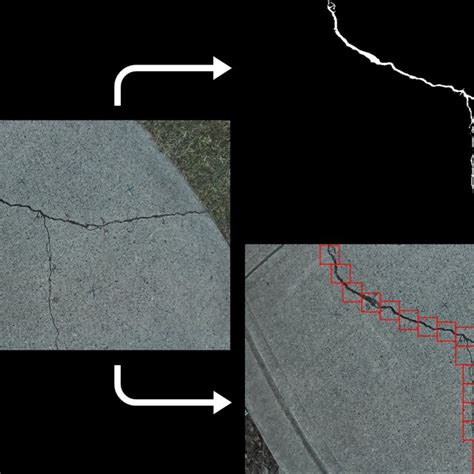 Image result for Object Detection vs Semantic Segmentation Examples