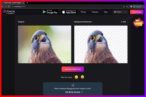 Image result for Resolution for Remove