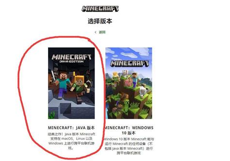 Java Edition 的图像结果