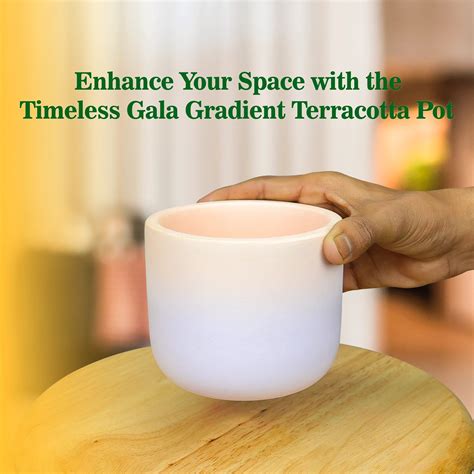 Gala Gradient Terracotta Pot