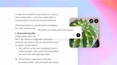 Image result for Codegpt Class 5