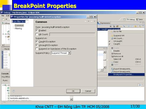 Image result for Eclipse Java Debugger