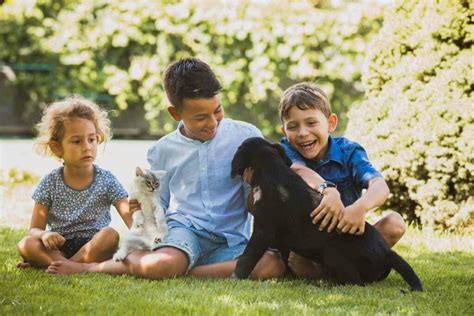 Image result for Labrador Retrievers Good Guarding Dogs