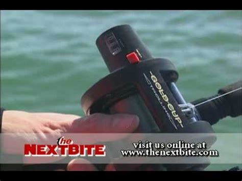 Image result for Using Lead Core Line