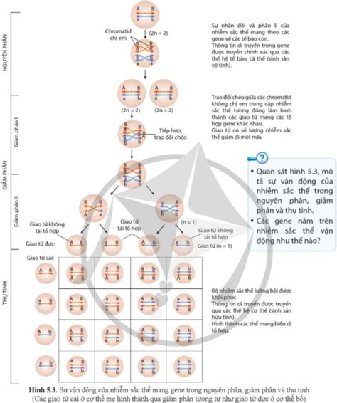 Image result for JavaScript Methods Cheat Sheet