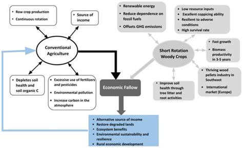 Integrating Short Rotation Woody Crops into Conventional Agricultural ...