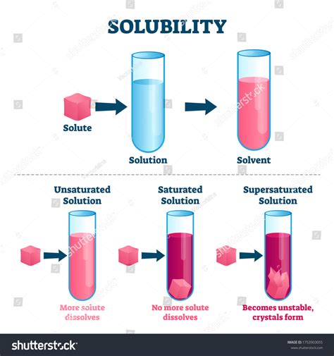 Solubility Process 的图像结果