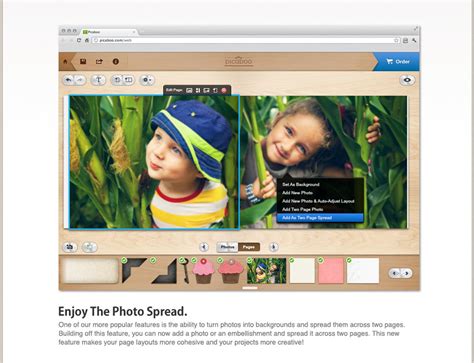 Image result for Picaboo Tutorial