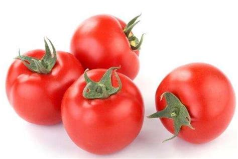 梦见西红柿是什么意思 梦见好多熟了的西红柿有什么预兆 - 致富热