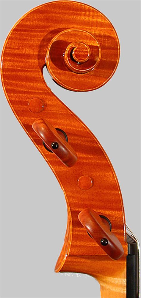 Image result for The String Instruments