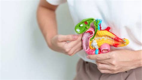 Pancreas Not Working Symptoms : Top 7 Symptoms of Pancreas Problems – VHGMX