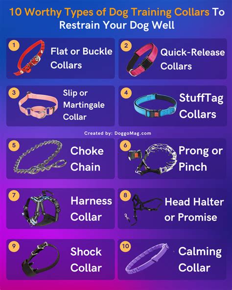 10 Worthy Types of Dog Training Collars To Restrain Your Dog Well ...
