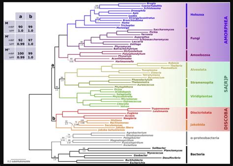 Image result for Evolutionary Progress