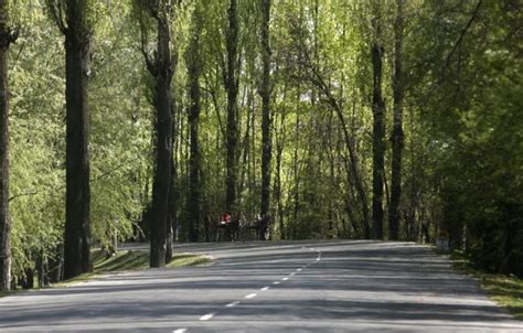 Road Test: Do you know what these white and yellow road lines are for ...