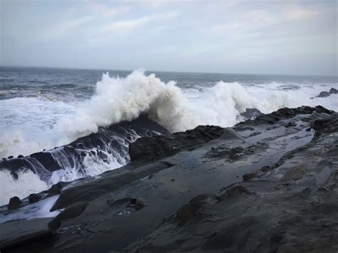 Image result for shore acres waves