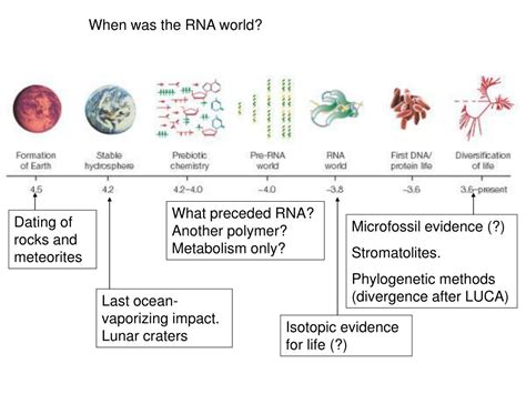 RNA World Explained 的图像结果