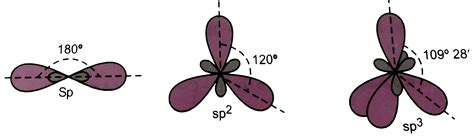 Draw the shapes of the following hybrid orbitals : `sp, sp^(2), sp^(3)`