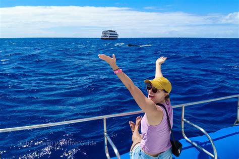7 Best Road to Hana Tours, Maui (2026) – Luxury, Adventure & Family Picks