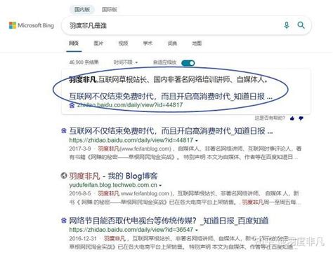 Bing 设置 的图像结果
