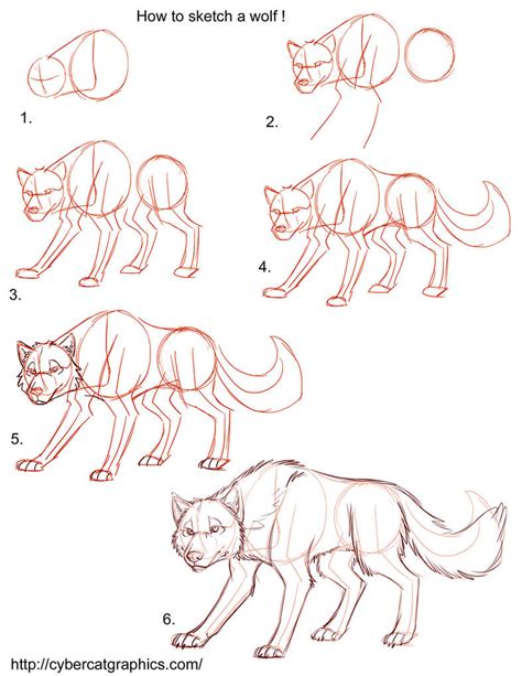 Image result for Wolf Tutorial
