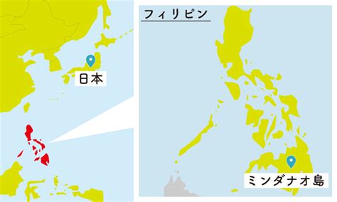 Image result for Dumpy Level Structure