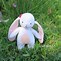 Image result for Cloth Bunny Pattern