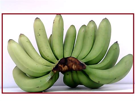 Image result for Python Computer Vision Cutter Size