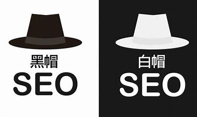 金旋网赚黑帽seo和白帽seo 的图像结果