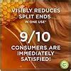 Garnier Whole Blends Sulfate Free Remedy Honey Shampoo for Dry to Very ...