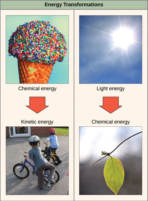 Energy Transformation Examples Drawing 的图像结果