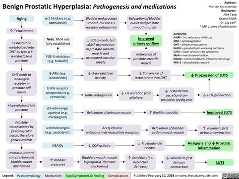 Benign Prostatic Hyperplasia Mechanism 7 Best Tests For BPH Diagnosis