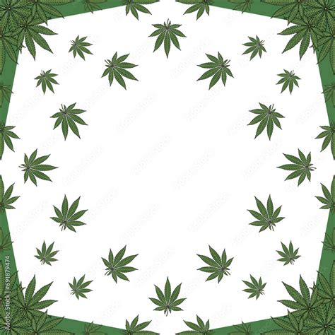 Cannabis leaves illustration frame on transparent background. Marijuana ...
