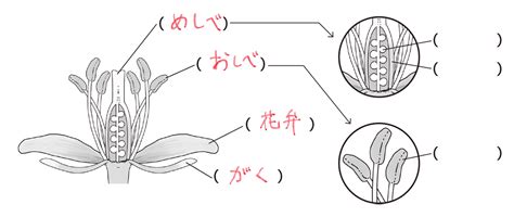 Image result for Alien Letter D